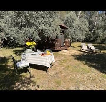 Roulotte / Tiny House Dans Les Alpilles Hotell Saint-Rémy-de-Provence Exteriör bild